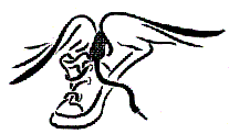 Race for Heaven logo.gif